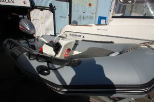 Zodiac Pro 7 man (click for enlarged image)